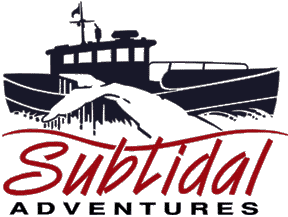 subtidal adventures